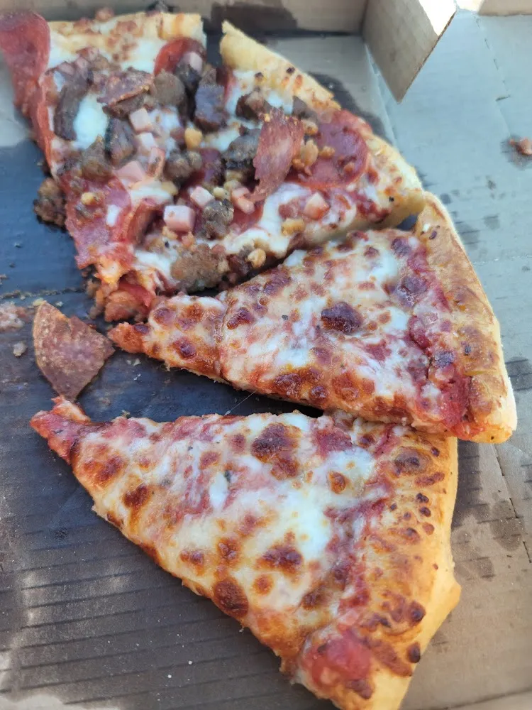 Meat and Cheese Pizza
